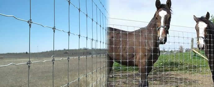 Heavy Galvanized Cow Fencing