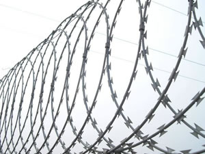 Razor Wire Ribbons for Mesh Fencing Panels